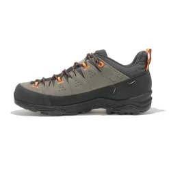 Alp Trainer 2 Gore-Tex homme