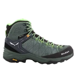 Alp Trainer 2 Mid GTX homme