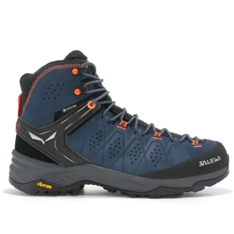 Alp Trainer 2 Mid GTX homme