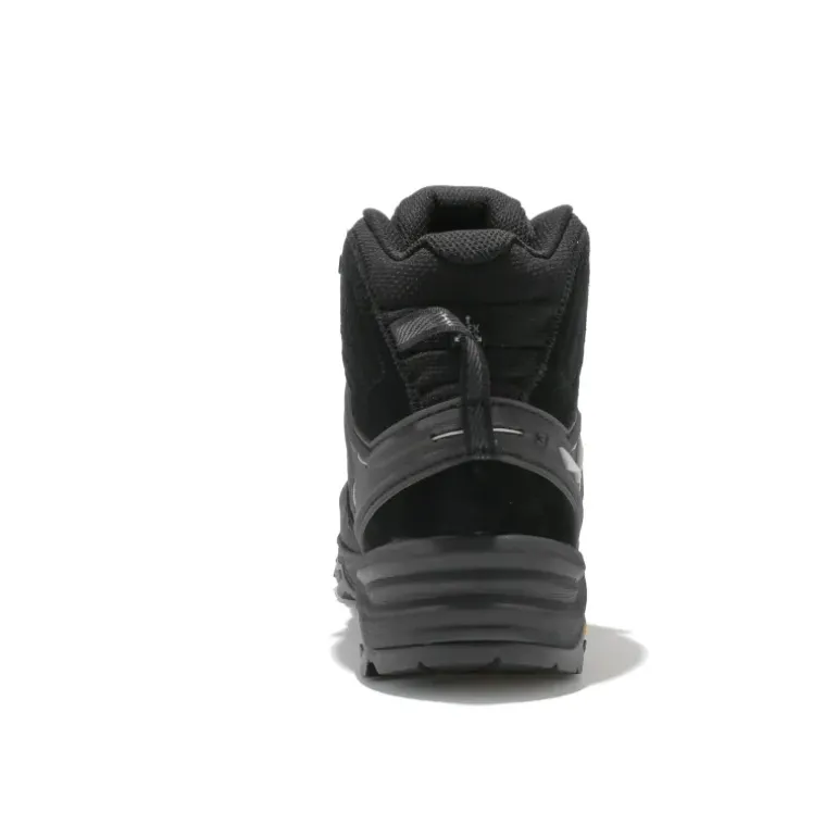 Alp Trainer 2 Mid GTX homme