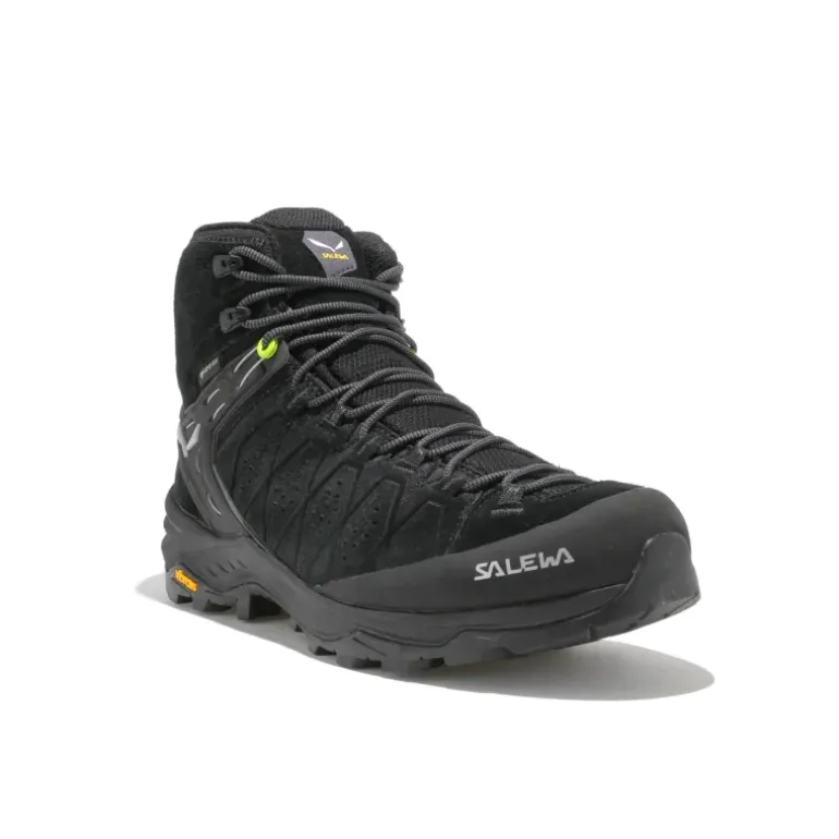 Alp Trainer 2 Mid GTX homme
