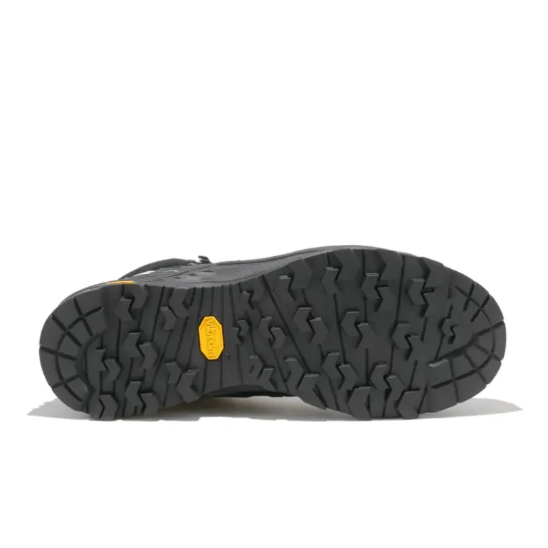 Alp Trainer 2 Mid GTX homme