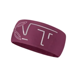 Bandeau Eiger