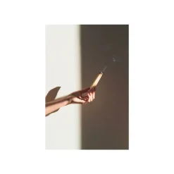 BATONNETS DE PALO SANTO