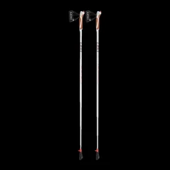 BATONS DE MARCHE NORDIQUE PASSION