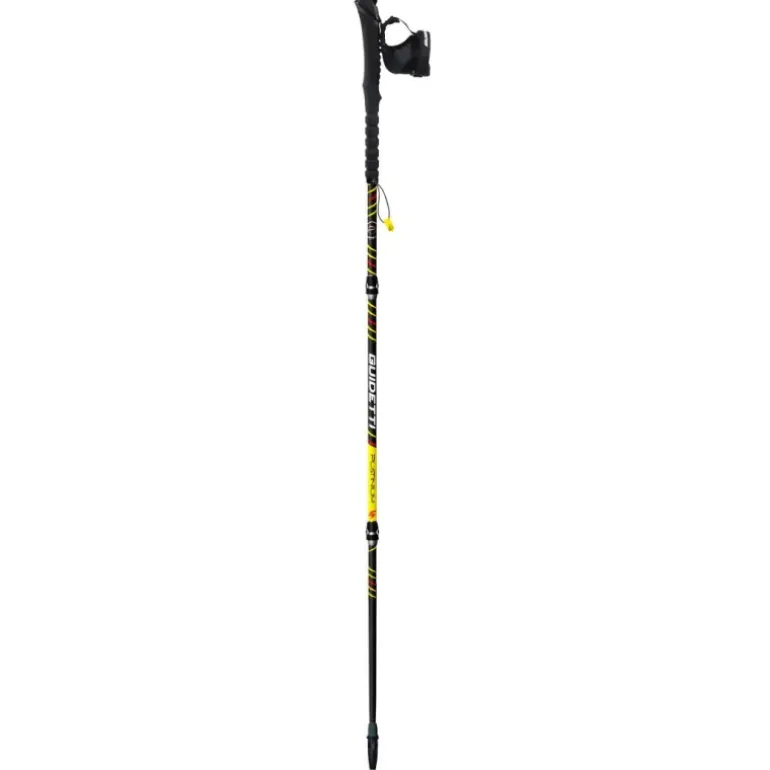 BÂTONS DE TRAIL PLATINIUM NÉO PERF CARBONE