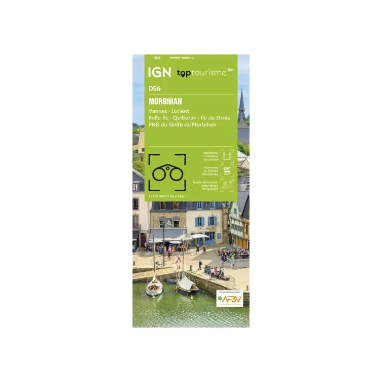 CARTE TOP100 D56 - MORBIHAN
