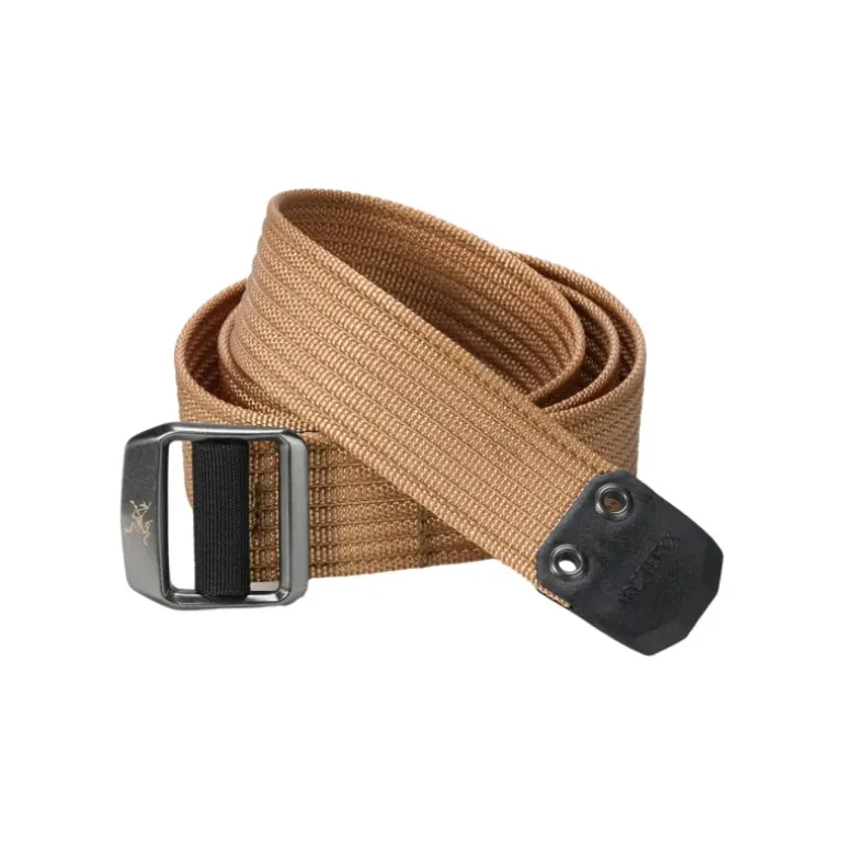 Ceinture Conveyor 38