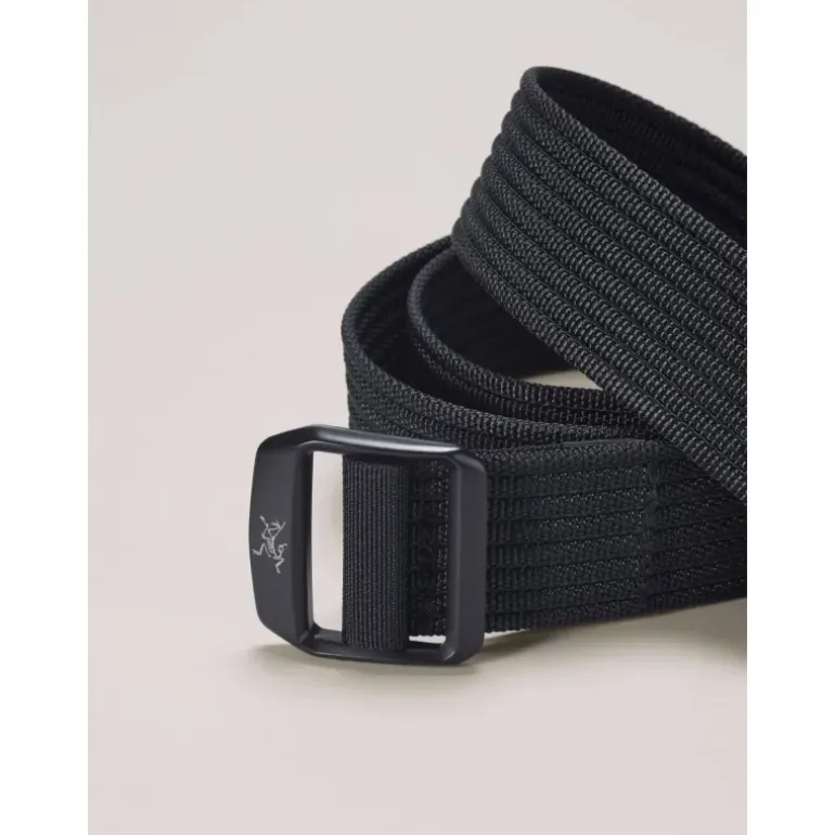 Ceinture Conveyor 38