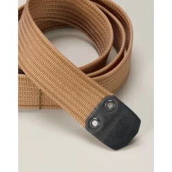 Ceinture Conveyor 38