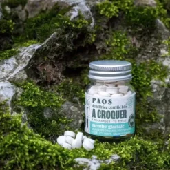 DENTIFRICE À CROQUER BIO MENTHE GLACIALE