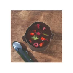 DESSERT LYOPHILISÉ - FONDUE AU CHOCOLAT ET SES FRUITS CROUSTY
