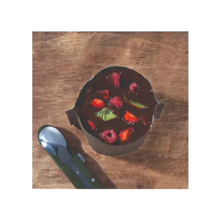DESSERT LYOPHILISÉ - FONDUE AU CHOCOLAT ET SES FRUITS CROUSTY