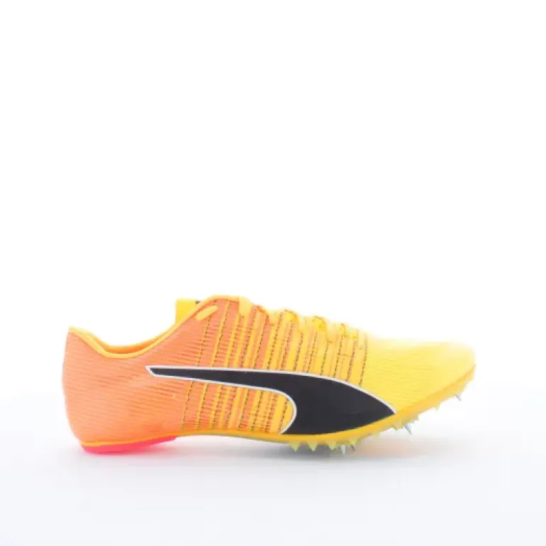 Evospeed Future 6 homme