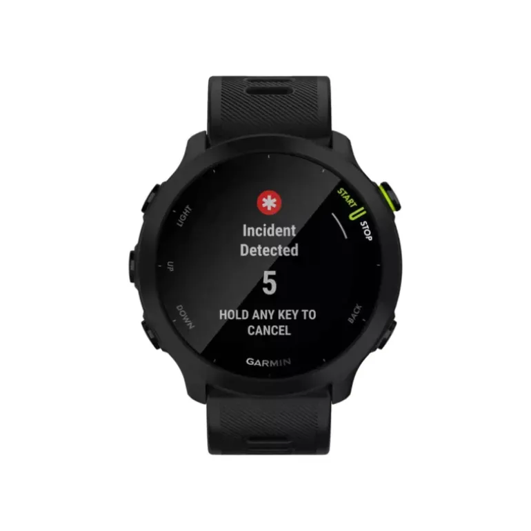 Forerunner 55