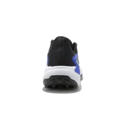 Genesis homme