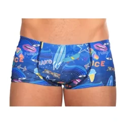 MAILLOT DE BAIN GRIZZLY BEAR HOMME