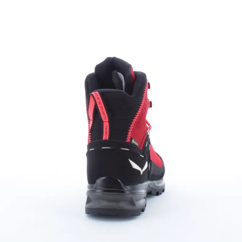 MOUNTAIN TRAINER 2 MID GTX FEMME
