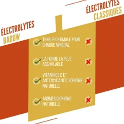 Pastilles électrolytes