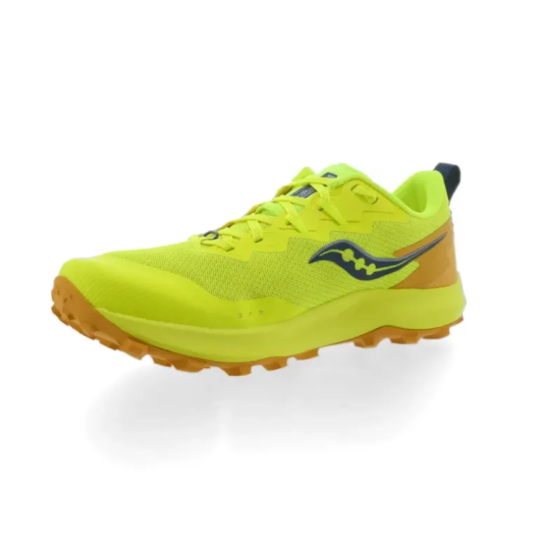 PEREGRINE 14 HOMME