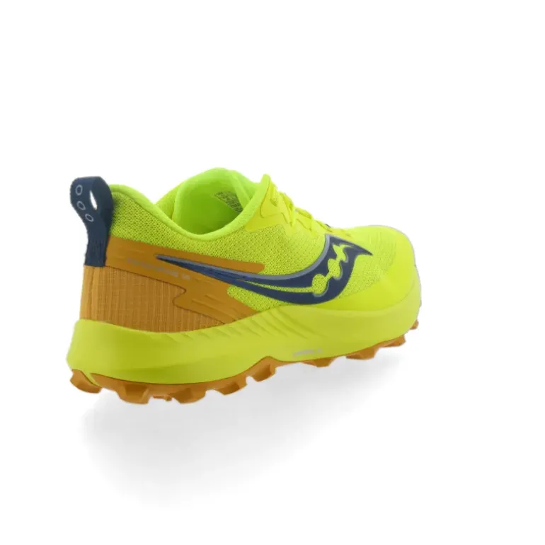 PEREGRINE 14 HOMME