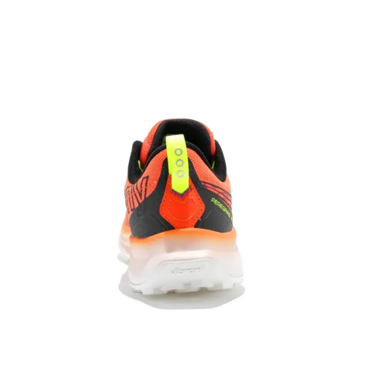 Peregrine 16 homme
