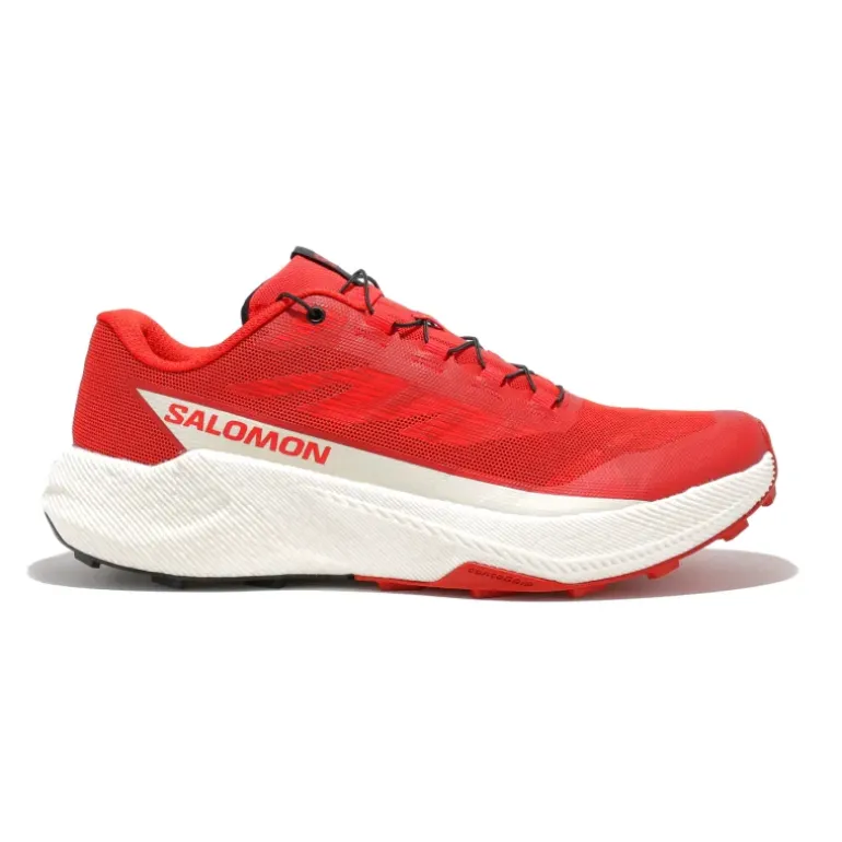 Pulsar homme