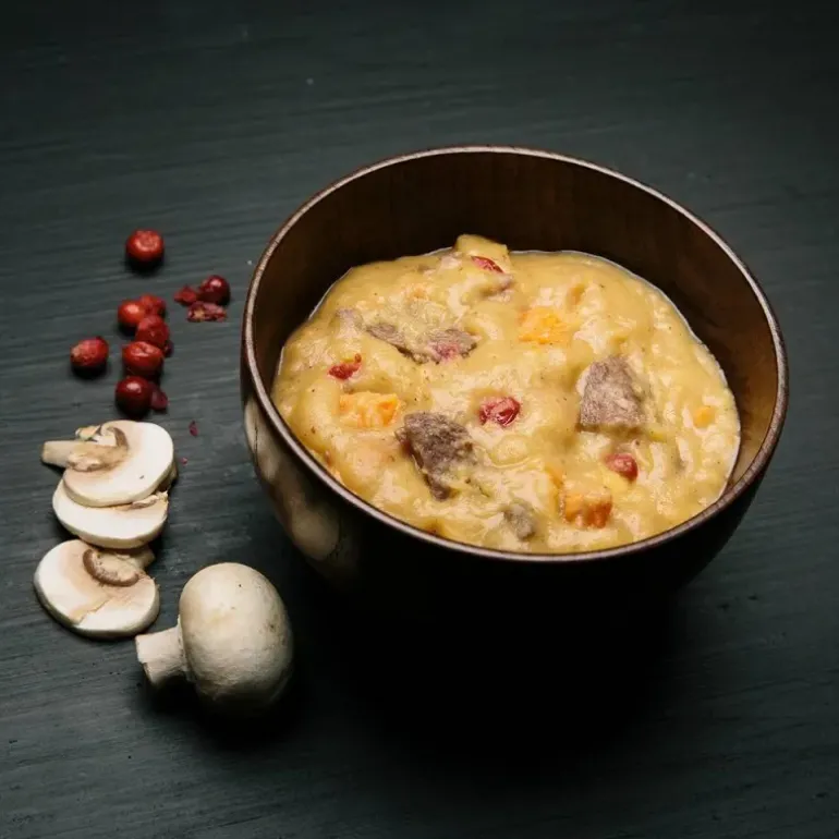 repas lyophilisé ragoût de gibier