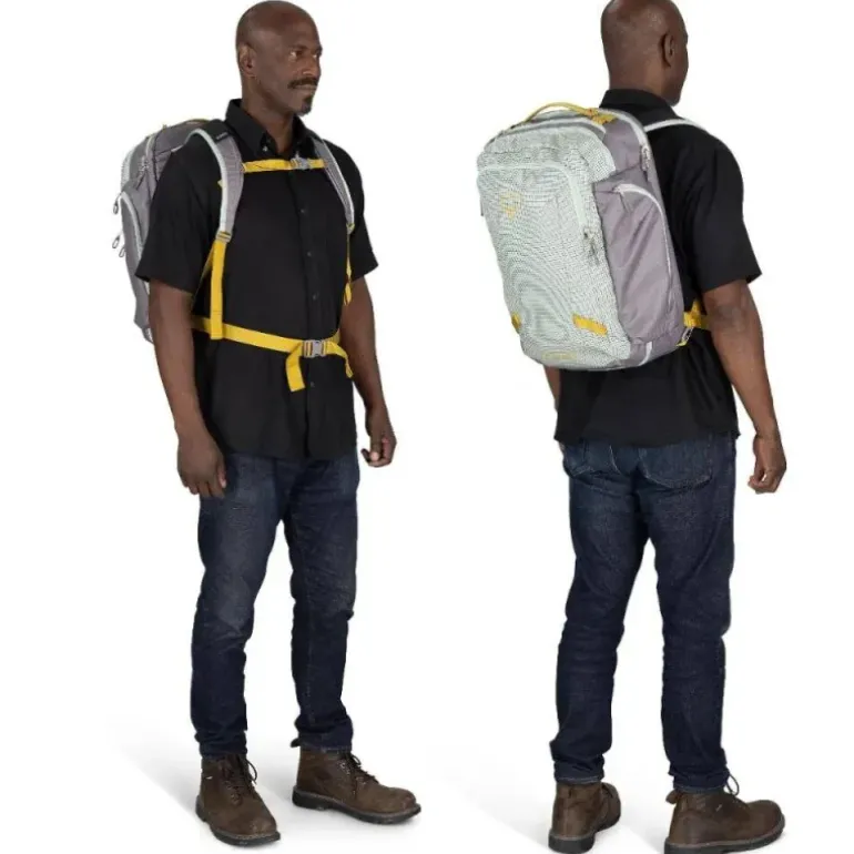 Sac Transporter Travel Pack 36L