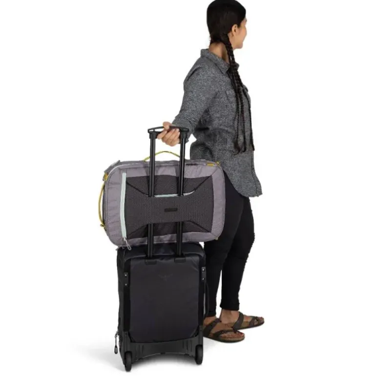 Sac Transporter Travel Pack 36L