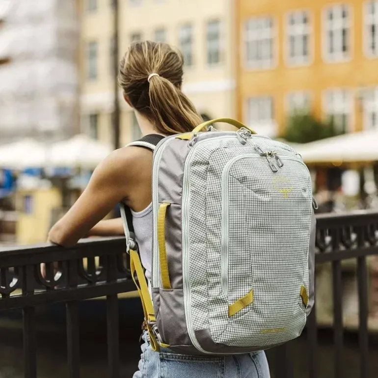 Sac Transporter Travel Pack 36L