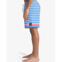 Shot de bain Original BTZ Stripe Volley 17" homme