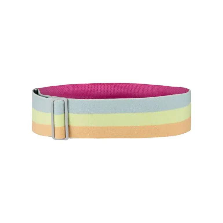 SPEED VISOR