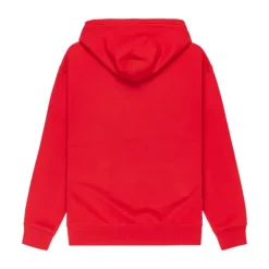 Sweat à capuche Dna homme