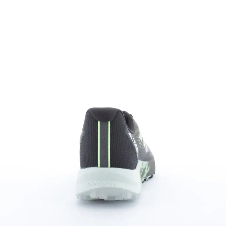 TERREX AGRAVIC FLOW 2 GTX HOMME