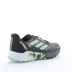 TERREX AGRAVIC FLOW 2 GTX HOMME