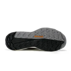 TERREX FREE HIKER 2 GTX HOMME