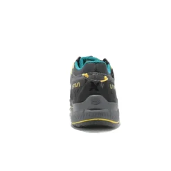TX4 EVO GTX homme