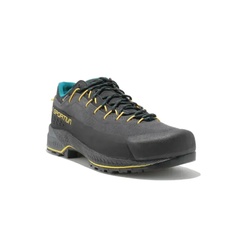 TX4 EVO GTX homme