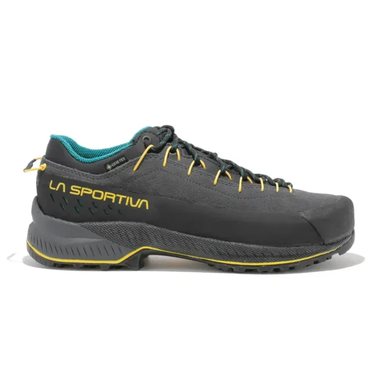 TX4 EVO GTX homme