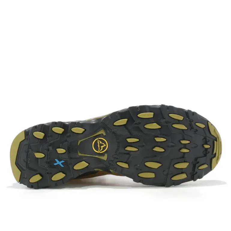 ULTRA RAPTOR II MID LEATHER GTX HOMME